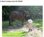 a real cowboy.jpg